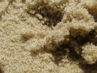 /album/nesian-photography1/nesian-picture-23-copy-jpg/